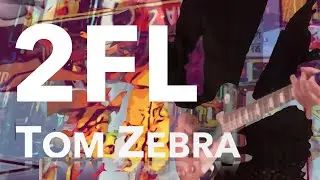 BLACK PATRICK - Tom Zebra