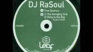 DJ RaSoul - True Science