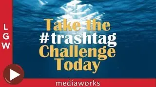 Beach Clean-up | #Trashtag Challenge | West Palm Beach, Florida