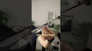 Замедленная съемка крыльев дрона со скоростью 2000 кадров в секунду #инженерия #замедленнаясъемка...