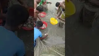 Net fishing village farm masterhat