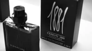 CERRUTI 1881   SIGNATURE