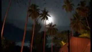 Tahiti Night By Kay Tee Kustum