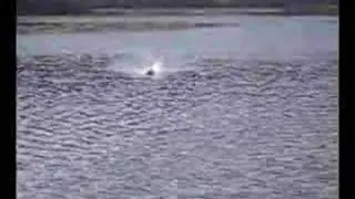 Nitro Hammer
