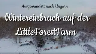 Unser #ALLTAG im #Winter bei #Minusgraden und viel #Schnee.🌨️❄️#waldleben🌳#AUSWANDERN🙏#WONDERLAND☃️