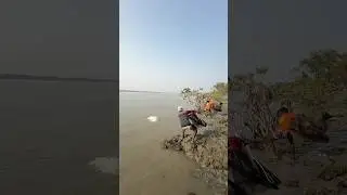 Big fish catch by castnet fishing from the river side. #shorts #fishingvideo #bigfish #arapaima
