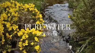 Pure Water ASMR | Relaxing sounds of nature | No ai