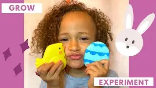 Water Grow Toys From the Easter Bunny! Easter Experiment