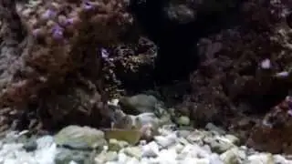 Bio cube Update December