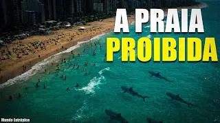 Por que o Litoral de Recife é o mais PERIGOSO do BRASIL?