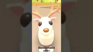 Чего😨 #roblox #роблокс #robloxshorts #adoptme #адоптми #adoptmeupdate #pets