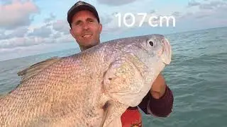 build up Fishing shady camp, and tommy cut#fishingaustralia #barramundi #barramundifishing #jewfish