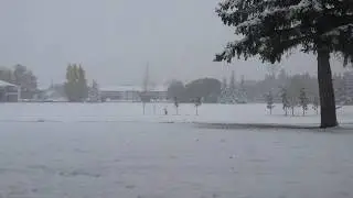 Canadian Weather Update  (Checkacola)