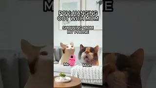CAT MEMES 🐱 HANGING OUT WITH MOM #relatable #cat #funny #family #shorts