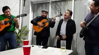 Alitas rotas