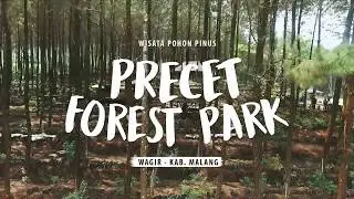 Precet Forest Park! Hutan Pinus Instagramable di Malang