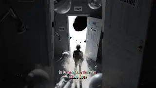 The White Hole Mystery: What Comes Out When Nothing Can Escape?
