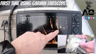 First Time Using GARMIN LIVESCOPE? Kentucky Pre Spawn Crappie on Lake Cumberland!