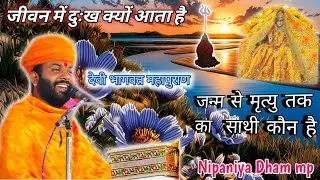 जीवन में दुःख क्यों आता है। हमारा जन्म से मृत्यु तक का साथी कौन है।Ambaji dham nipaniya #अंबाजी_धाम