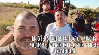 UN D&Iacute;A DE LOCOS EN PU&Ccedil;OL  FINCAS MOJADAS, BICHOS EXTRA&Ntilde;OS Y FINAL ACCIDENTADO