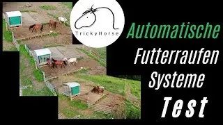 Automatische Futterraufe - Gesunde Pferde - Der Speck muss weg!