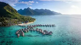 Experience Hilton Moorea Lagoon Resort & Spa