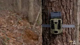 Details about the LINK-S from SPYPOINT