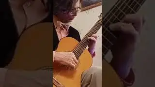 Virtuoso guitarist.🎸Masterly passages🎉.Virtuoso transitions.&hearts;️