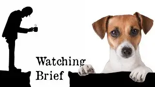 Watching Brief: Puppy Dog Eyes Evolved to Communicate with Humans!? - June 2019