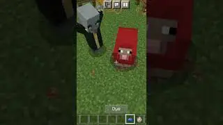 #evoker change blue sheep in to red sheep
