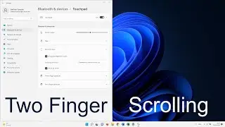 How to Fix Two Finger Scroll not Working Windows 11