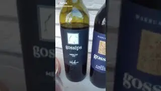 Love My Gossips Red Wine and Succulent Plants Happy Last Saturday of March, 2021