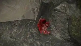 AFK host