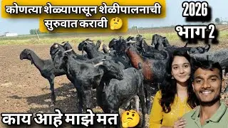 कोणत्या शेळ्यापासून शेळीपालनाची सुरुवात करावी ? जात वाण वातावरण 🤔 रंधे भैय्या 8766931408