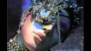 Robert Waters - Memory Hunter