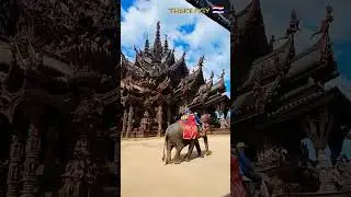Elephant 🐘 Ride in Thailand 🇹🇭 😱 #shorts #viral #2023