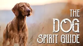 Dog Spirit Guide - Ask the Spirit Guides Oracle - Totem Animal - Power Animal - Magical Crafting