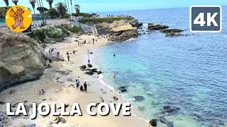 4K La Jolla Cove Walking Tour, San Diego California, USA | 🔊 Binaural Sound