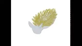 Nudibranch Challenge Day 2