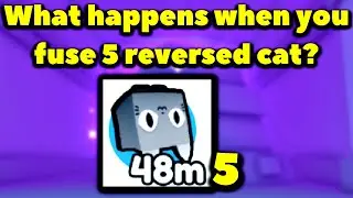 What happens when you fuse 5 reversed cat? (Roblox Pet Simulator X - TRADE PLAZA)