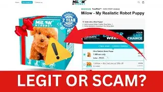 Milow Robot Puppy AI Review: Is that legit product?