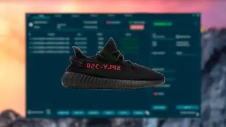 Yeezy 350 v2 Bred Live Cop | Balko | Splash Force