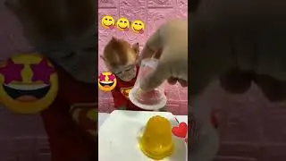 monkey 😋eating jelly #cute #funny #pets #dog #baby #cat #cat #animals #hungry #dogs #birds #shorts