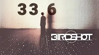 Birdshot | 33.6 (music video)
