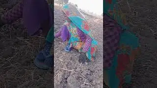 😭 गरीब किसान खेतों mah कितनी मजबूरी के साथ मेहनत करता hai जिसे देखकर आंखें भर आती है 😭