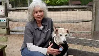 Debbie&rsquo;s Dream &ndash; The Story of Winslow Farm