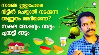 നാരങ്ങ ഇങ്ങനെ ഗൃഹത്തിൽ ഇങ്ങനെ സൂക്ഷിച്ചാൽ അത്ഭുതം നടക്കും,എല്ലാ ദോഷങ്ങളും വാലും ചുരുട്ടി ഓടും