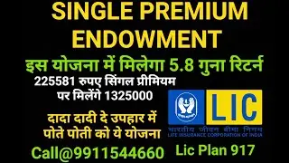 Lic Single Premium Endowment Plan 917