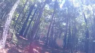 Biking through Briar Chapel Trails NC