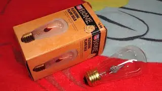 Rite Aid Edison Flicker Flame Neon Light Bulb